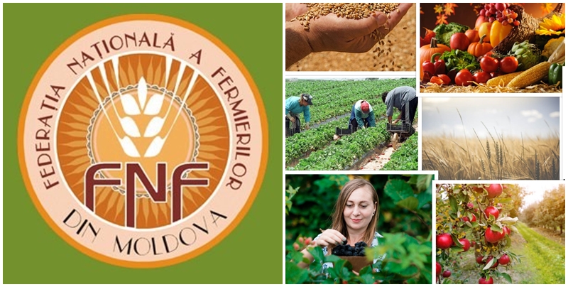  FNFM: O alimentație sănătoasă și durabilă reprezintă un pilon esențial al societății