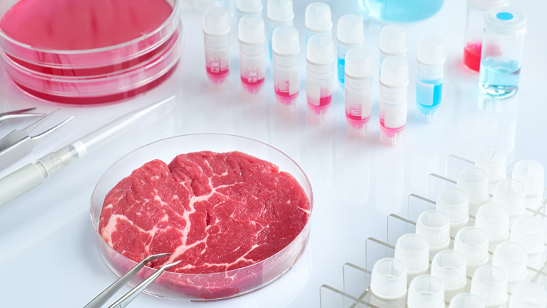  Carnea cultivată în laborator sau carnea artificială: ce viitor poate avea în alimentația noastră?