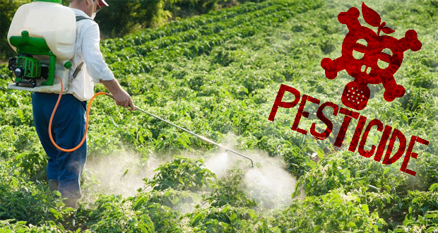  Despre pesticide și bolile de care ne putem îmbolnăvi: Agricultorii, copiii și riveranii sunt cei mai afectați