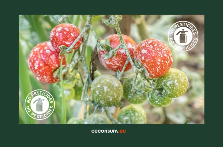 Pesticide: un sfert dintre alimentele vândute în Uniunea Europeană conțin un cocktail de reziduuri. Situația din România