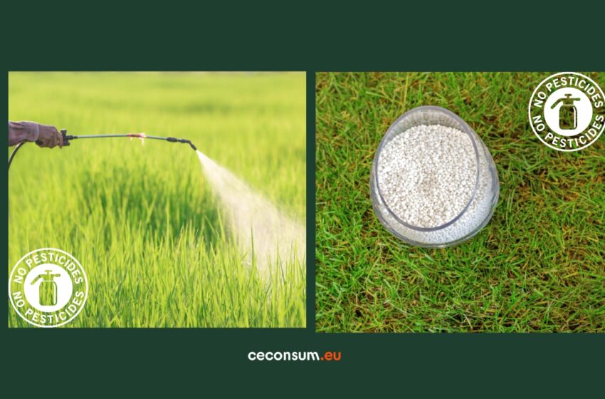 Alimente contaminate în farfuriile moldovenilor: pesticide și nitrați peste limitele legale în zeci de produse de consum curent