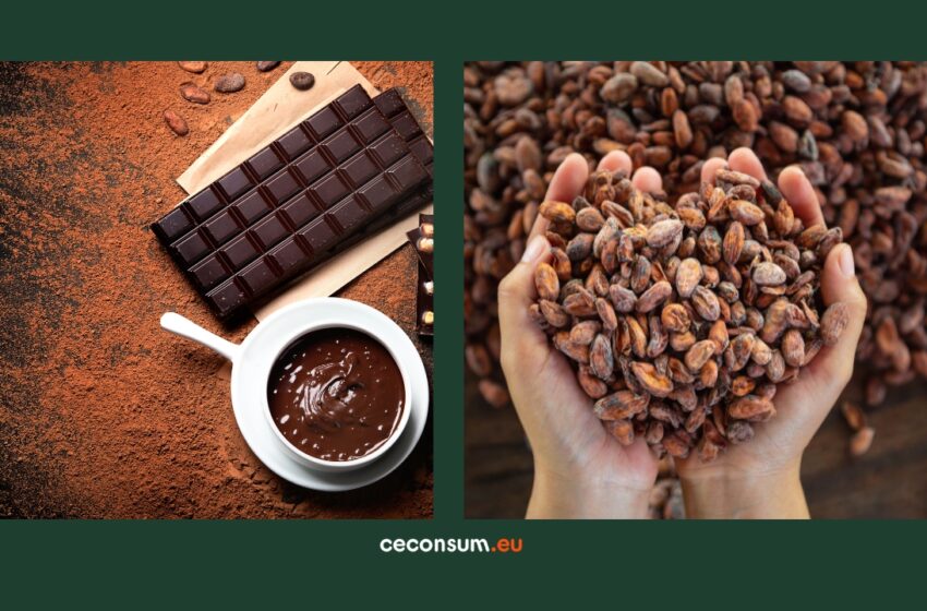 Boabe de cacao create în laborator? Cum ar putea arăta viitorul ciocolatei
